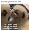 Александра Чершинина