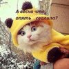 Мишаня
