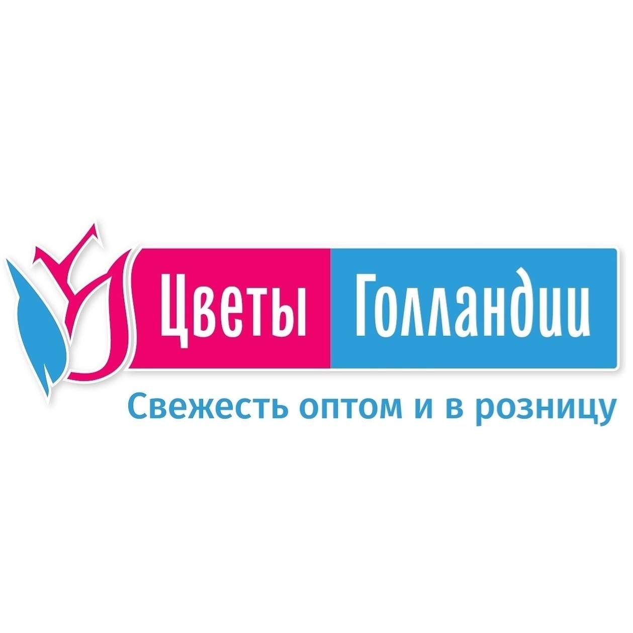 Цветы Голландии, склад-магазин в Калининграде на Космонавта Леонова, 59-61г  — отзывы, адрес, телефон, фото — Фламп