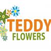 Teddy flowers