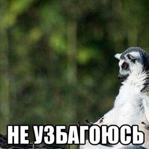 utkina43
