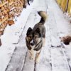 стоматология на нагорной 48 телефон. Смотреть фото стоматология на нагорной 48 телефон. Смотреть картинку стоматология на нагорной 48 телефон. Картинка про стоматология на нагорной 48 телефон. Фото стоматология на нагорной 48 телефон