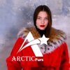 Arctic furs