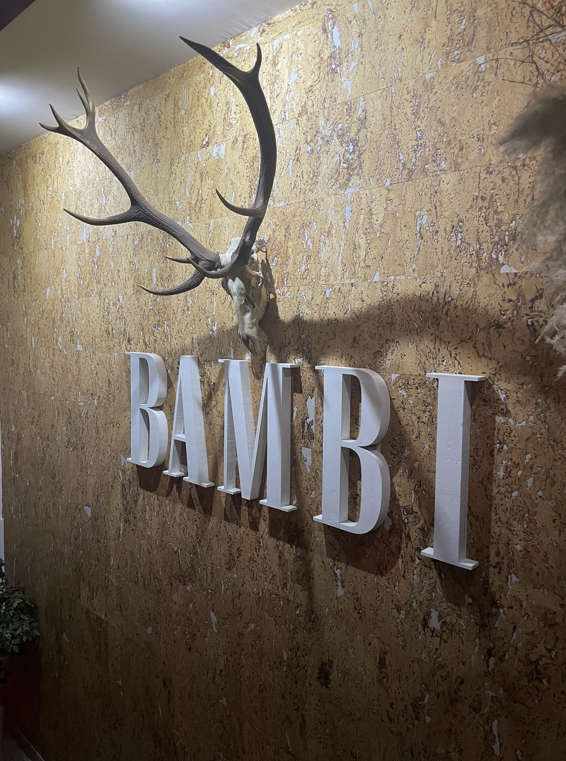 Bambi ул карла маркса 73а красноярск фото