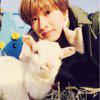 MrsDalnim