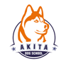 Akita dog school