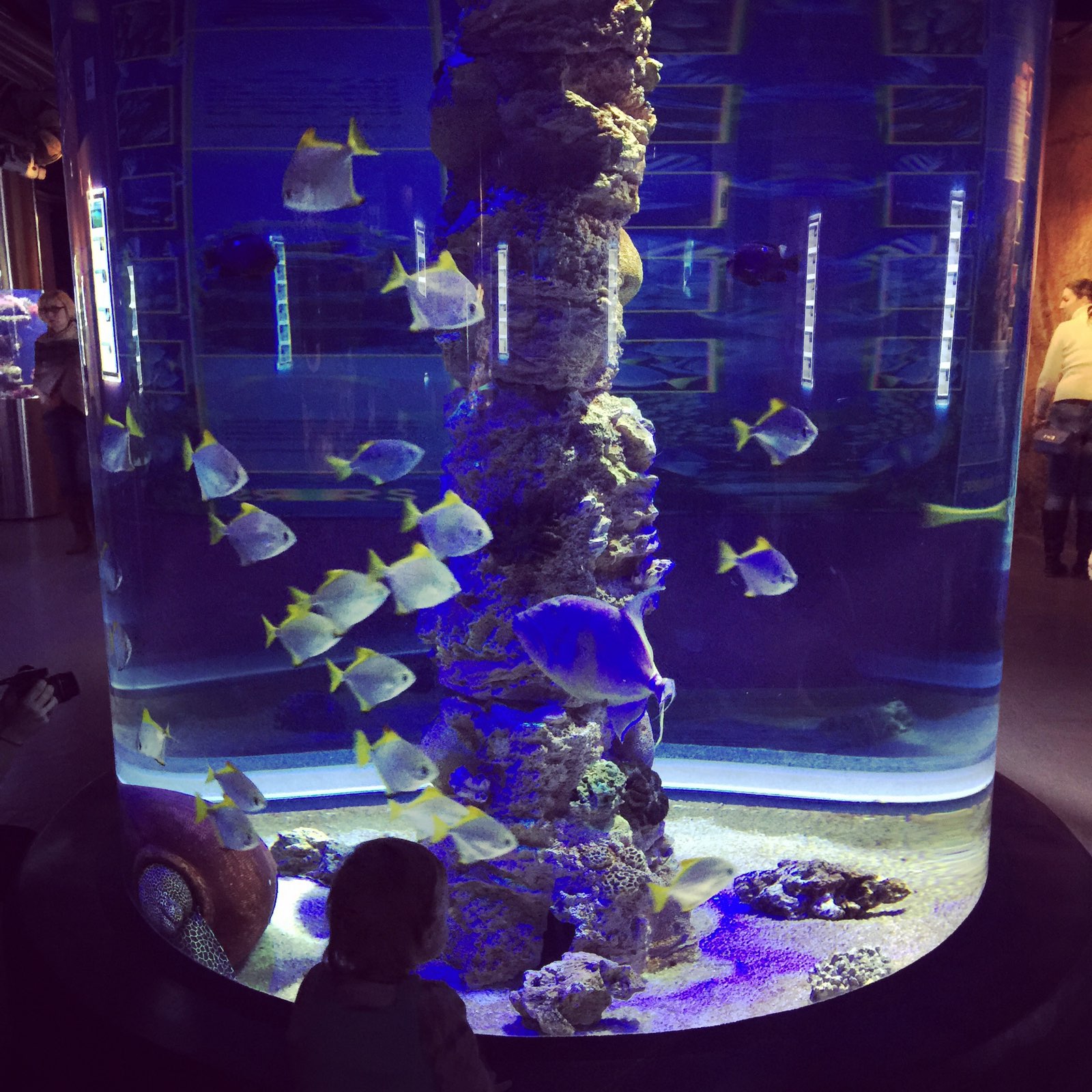 фото океанариум в санкт петербурге