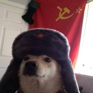 Дмитрий Машкарин