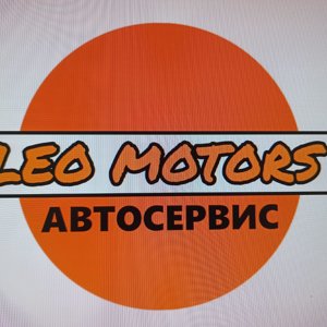 Leo motors