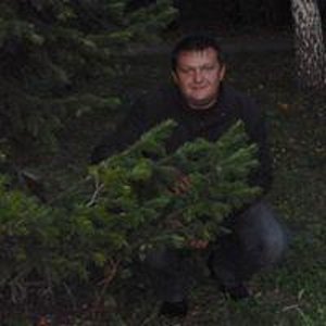 Игорь Стрельник