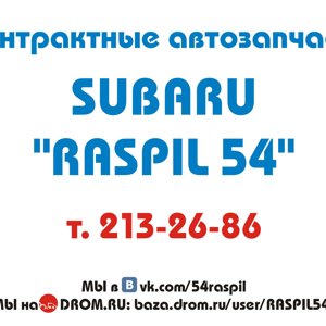 Subaru Raspil 54