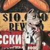 Тимофей Николаев