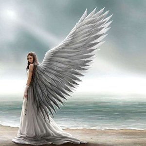 angel_030