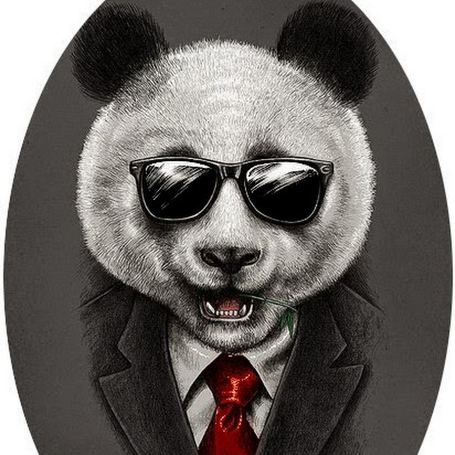 Что ставить на аватарку. Крутые авы. Дканда в осках. Костюм панды. Панда в очках.