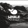 Whale studio