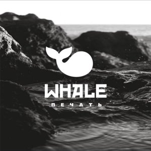 Whale studio