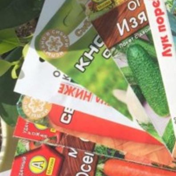 Магазин Семена Успеха Новосибирск Каталог