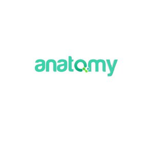 Anatomy