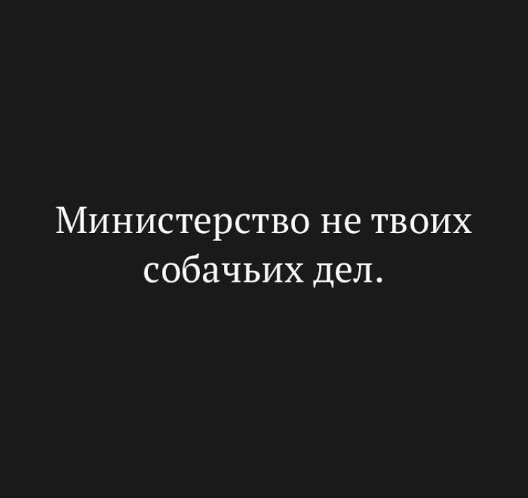 Сначала она долго плакала. Министерство не твоихсобачих дел. Министерство не твоих собачек дел. Министр не ваших собачьих дел. Не твое Собачье дело.