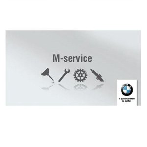 M-Service