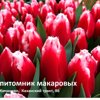 Питомник Макаровых