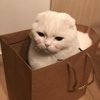 Гульназ Валиева