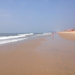 Candolim Beach