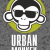 Urban Monkey