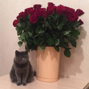 Olga Koroleva