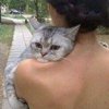 Денис Пеняев