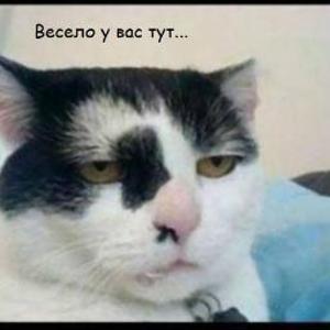 leonvorchun