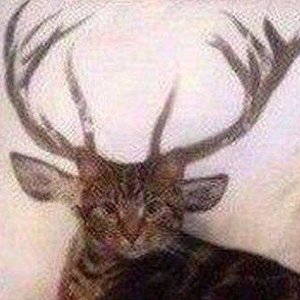Оля Шиль