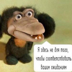 Анна Серебряная