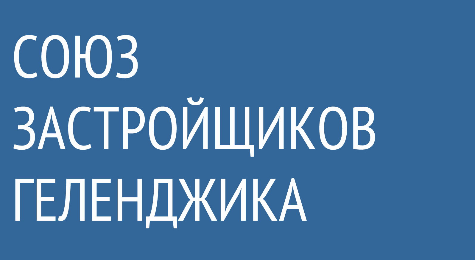 Союз застройщиков Геленджика, агентство недвижимости в Новороссийске —  отзыв и оценка — Татьяна Минашкина