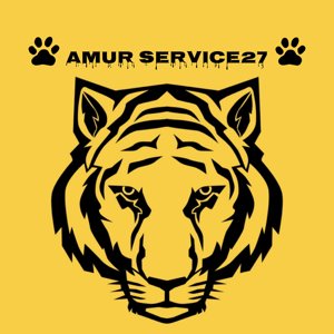 Амур Сервис27