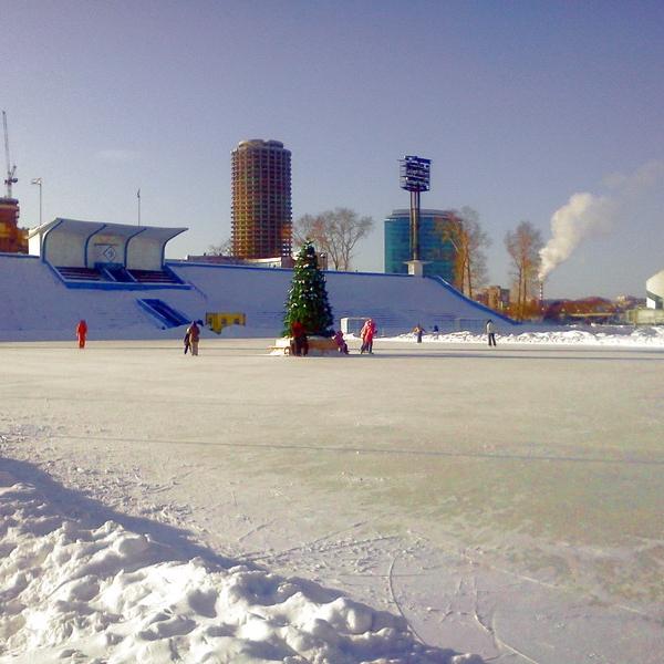 Динамо ул василия еремина 12б екатеринбург фото