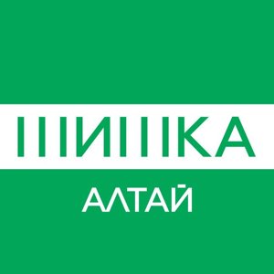 Шишка Алтай