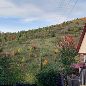 Александр Чичинов