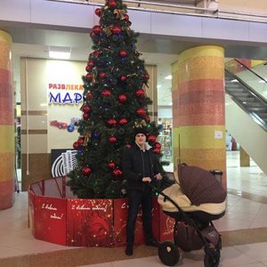 Илья Николаев