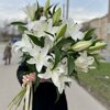 Анастасия Краузе