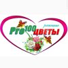 Pro100цветы