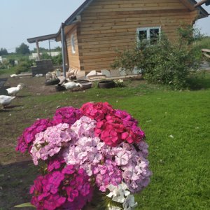 Ксения Тарантаева