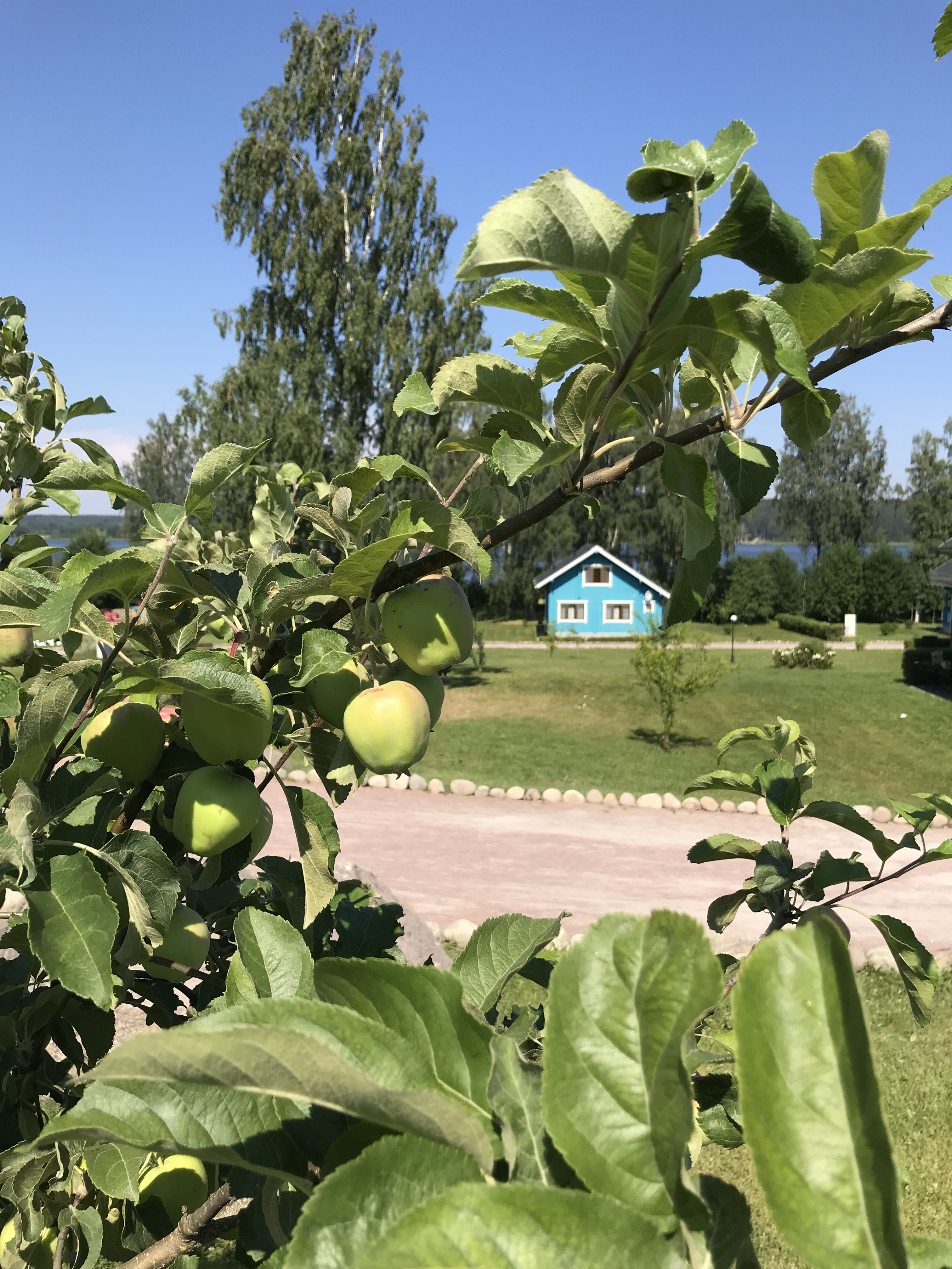 Вохотка: отзыв от jetik91